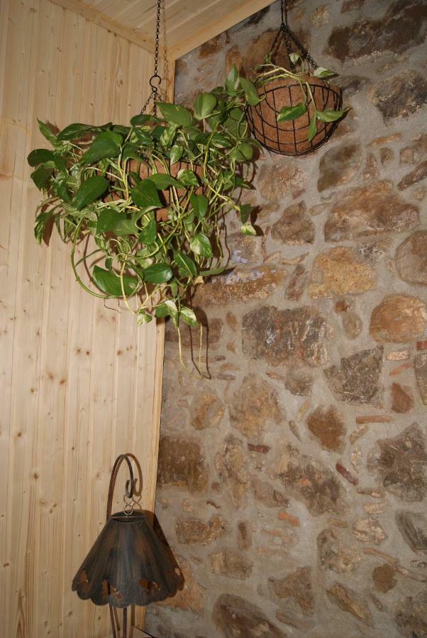 Apartament Codina 40 Torroella de Montgrí Exterior photo