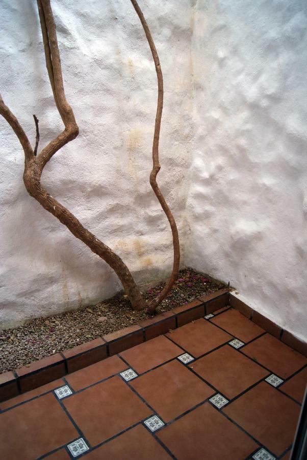 Apartament Codina 40 Torroella de Montgrí Exterior photo
